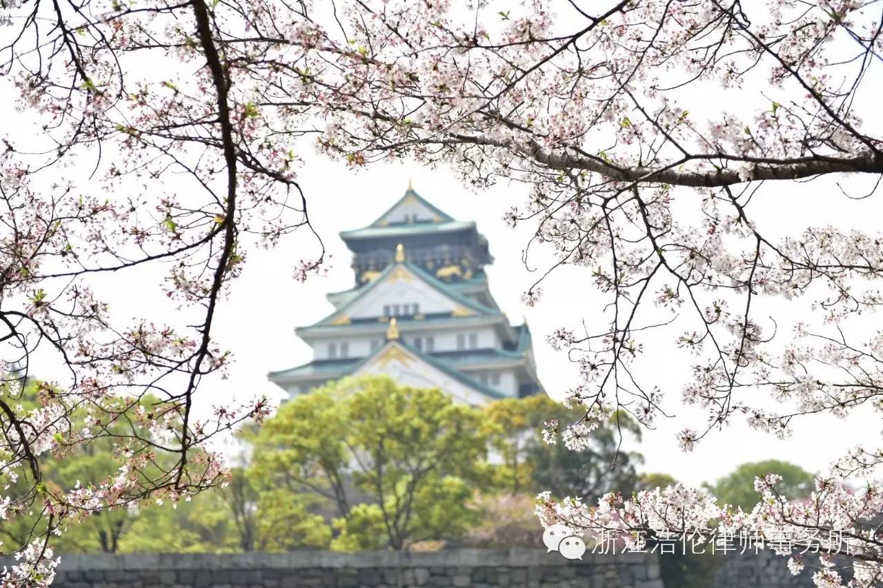 日本川崎旅游攻略-日本川崎有什么好玩的(图6) 日本川崎有什么好玩的_日本川崎旅游景点_日本川崎旅游攻略