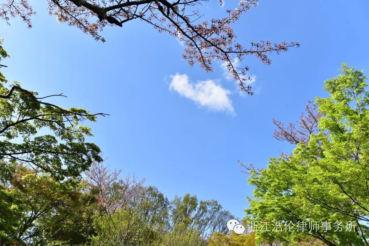 日本川崎旅游攻略-日本川崎有什么好玩的(图51) 日本川崎有什么好玩的_日本川崎旅游景点_日本川崎旅游攻略