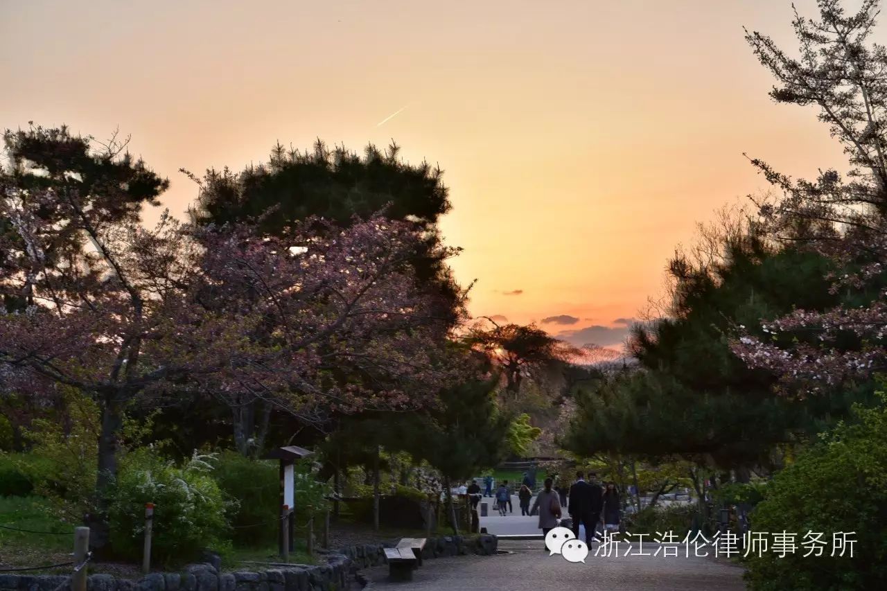 日本川崎旅游攻略-日本川崎有什么好玩的(图55) 日本川崎旅游攻略_日本川崎有什么好玩的_日本川崎旅游景点