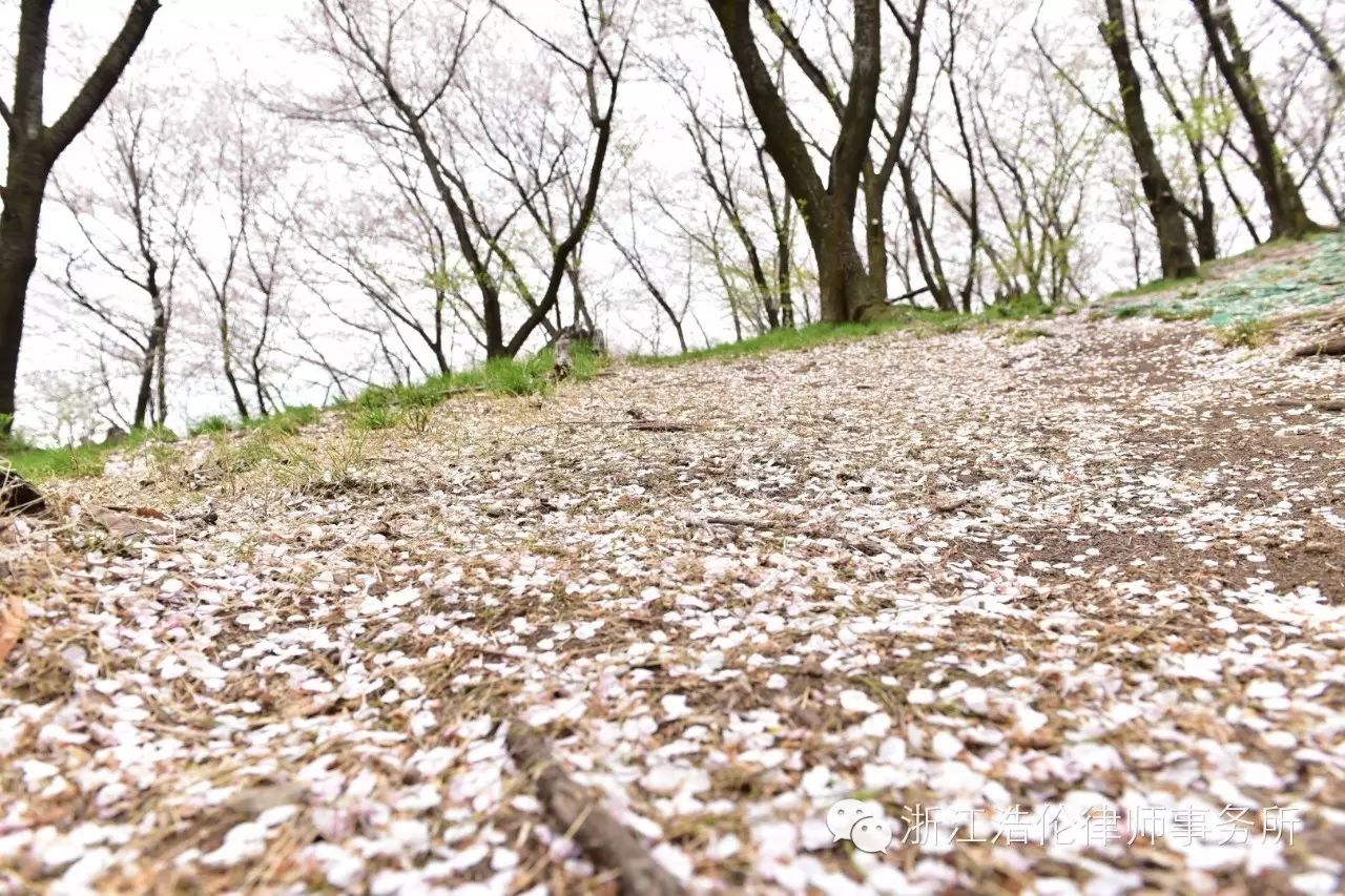 日本川崎旅游攻略-日本川崎有什么好玩的(图78) 日本川崎有什么好玩的_日本川崎旅游景点_日本川崎旅游攻略