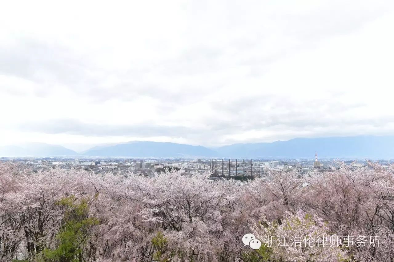 日本川崎旅游攻略-日本川崎有什么好玩的(图79) 日本川崎旅游景点_日本川崎旅游攻略_日本川崎有什么好玩的