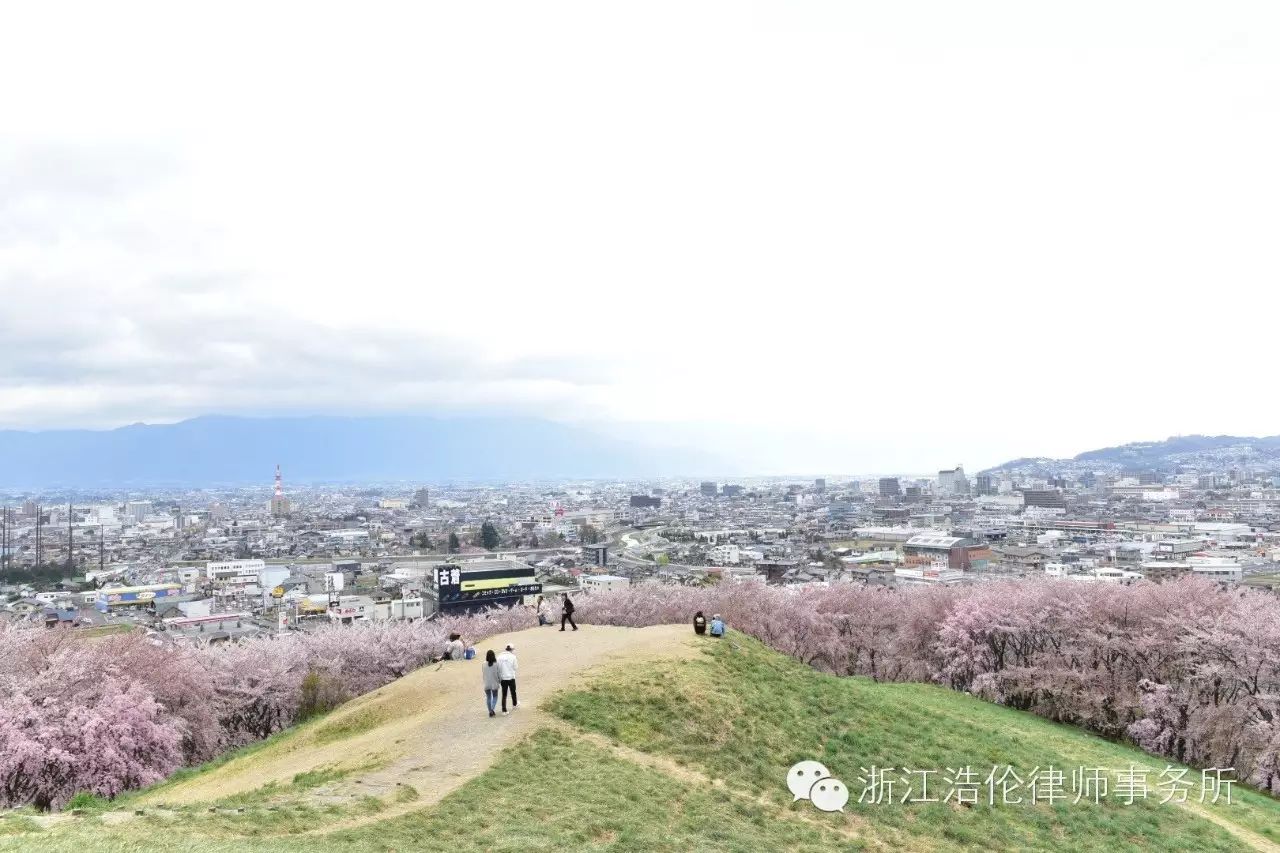 日本川崎旅游攻略-日本川崎有什么好玩的(图80) 日本川崎旅游攻略_日本川崎旅游景点_日本川崎有什么好玩的