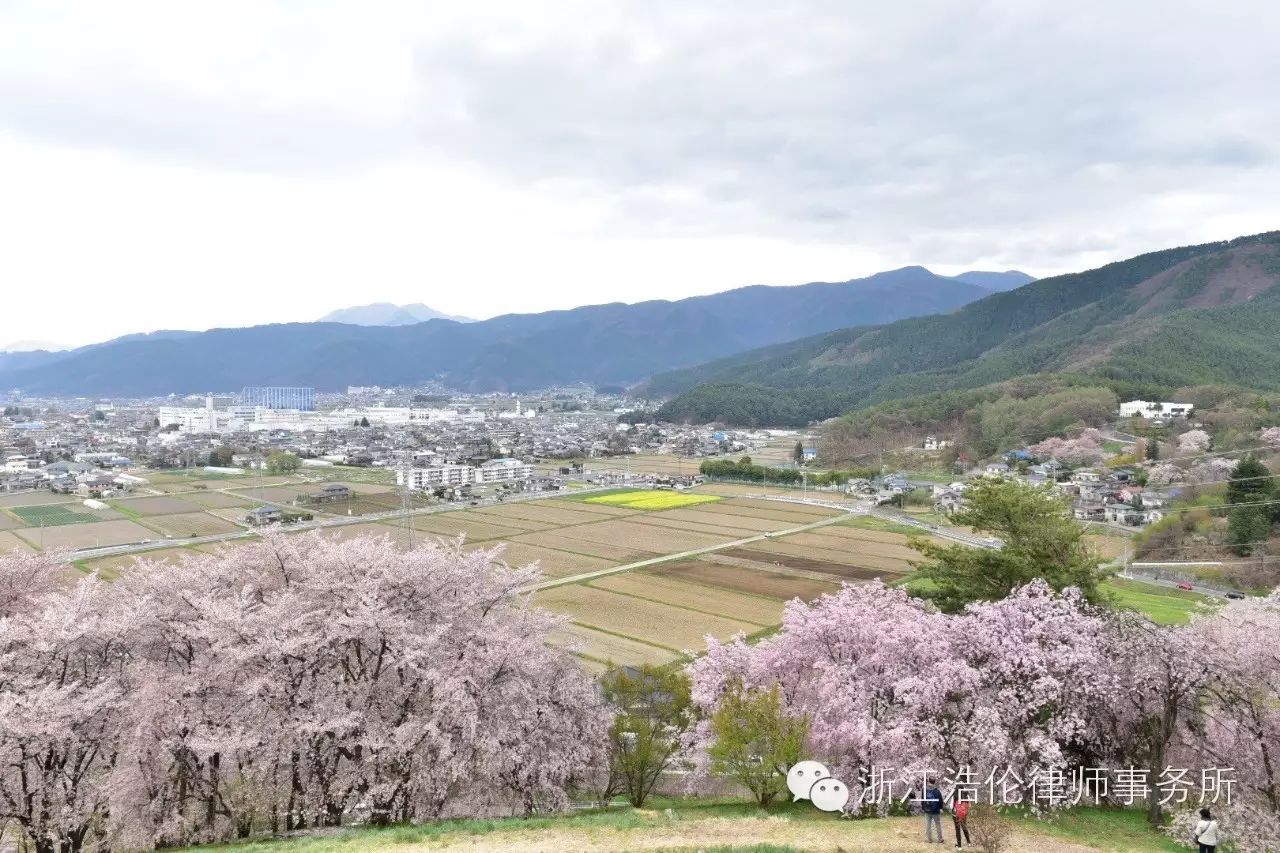 日本川崎旅游攻略-日本川崎有什么好玩的(图81) 日本川崎旅游景点_日本川崎旅游攻略_日本川崎有什么好玩的