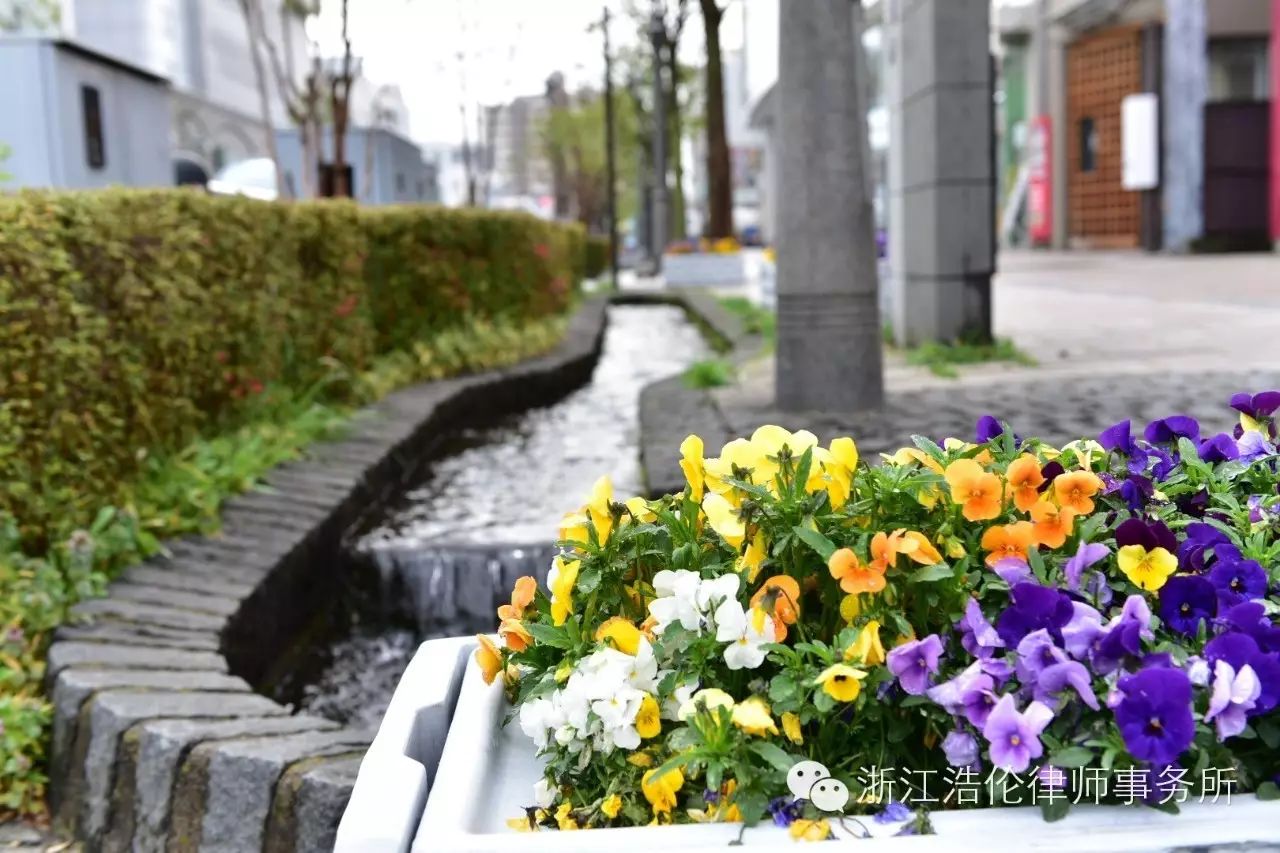 日本川崎旅游攻略-日本川崎有什么好玩的(图83) 日本川崎旅游攻略_日本川崎旅游景点_日本川崎有什么好玩的