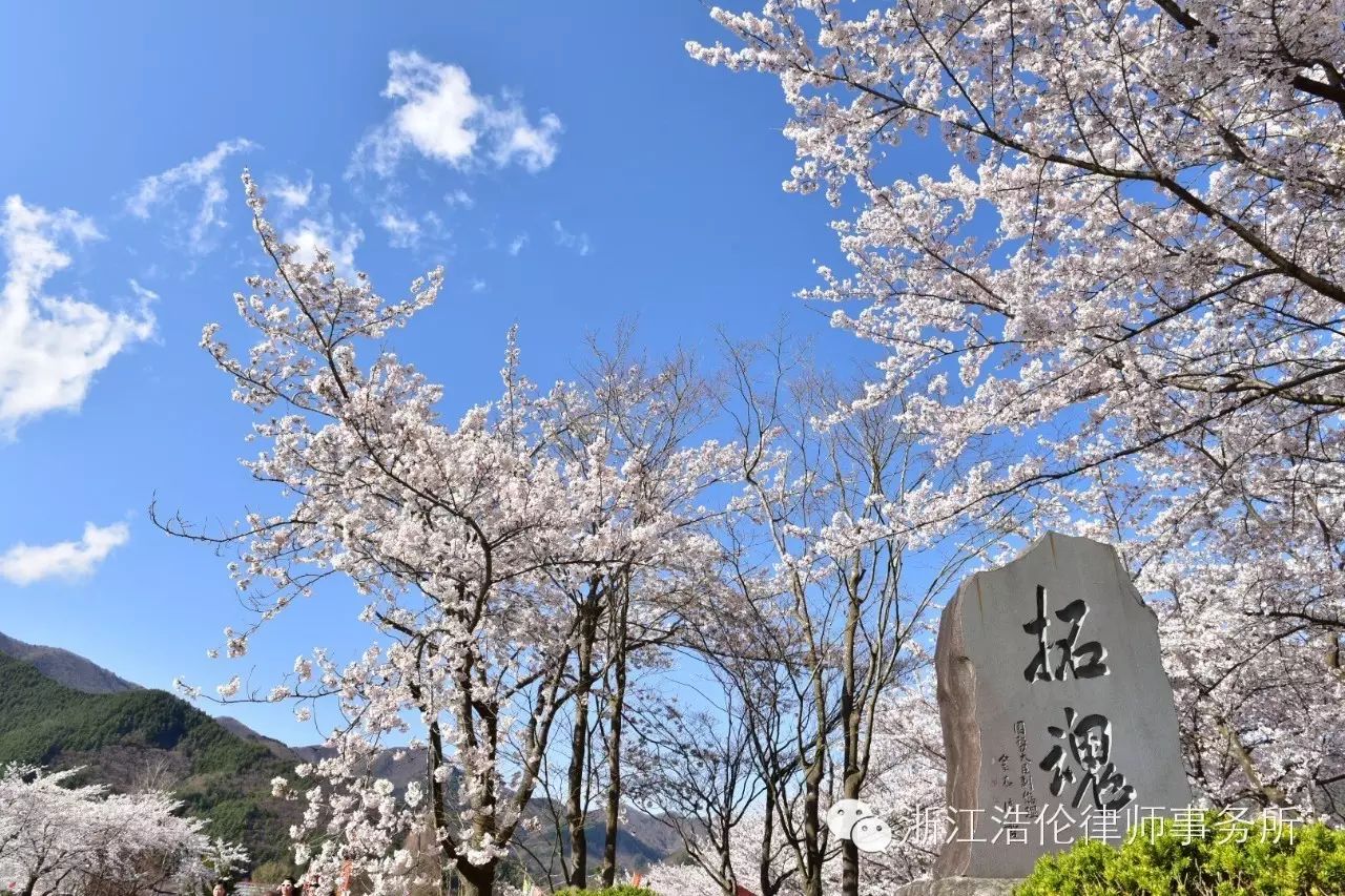 日本川崎旅游攻略-日本川崎有什么好玩的(图93) 日本川崎旅游攻略_日本川崎旅游景点_日本川崎有什么好玩的