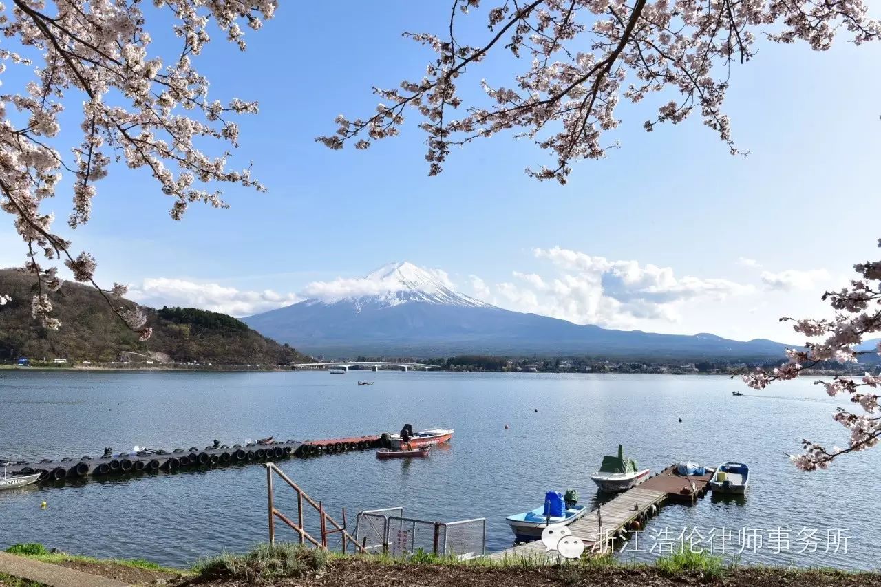 日本川崎旅游攻略-日本川崎有什么好玩的(图96) 日本川崎旅游景点_日本川崎旅游攻略_日本川崎有什么好玩的