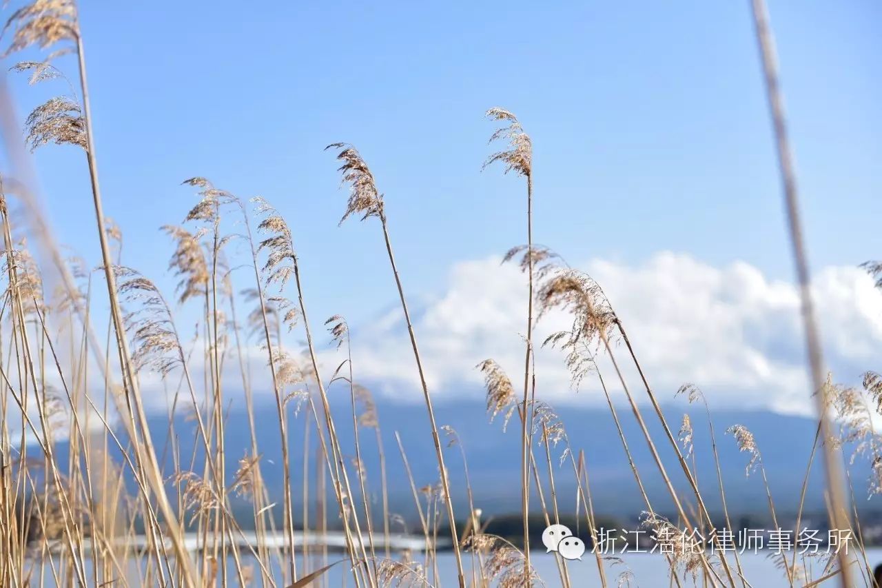 日本川崎旅游攻略-日本川崎有什么好玩的(图97) 日本川崎旅游景点_日本川崎旅游攻略_日本川崎有什么好玩的