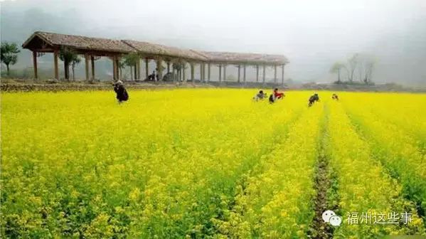 金铙山旅游攻略_金铙山风景区_金铙山小木屋住宿攻略