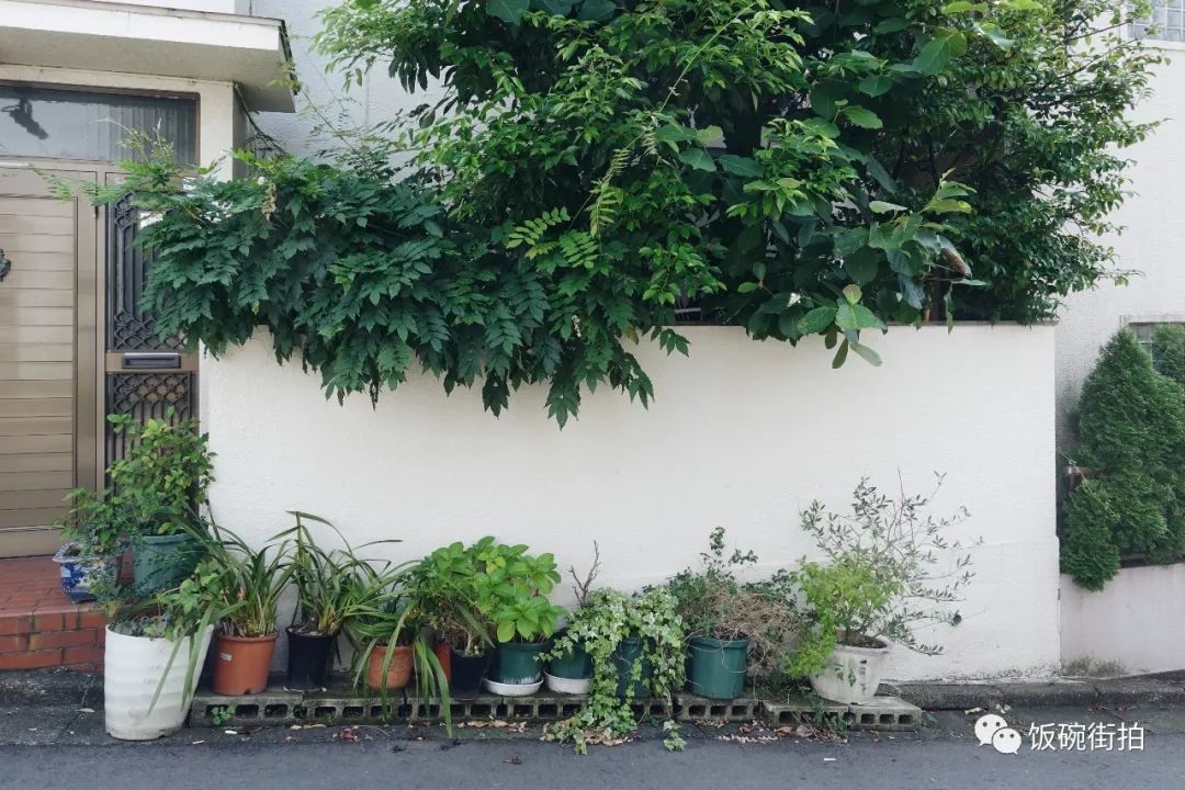 攻略川崎旅游日本视频_日本川崎有什么可玩的_日本川崎旅游攻略