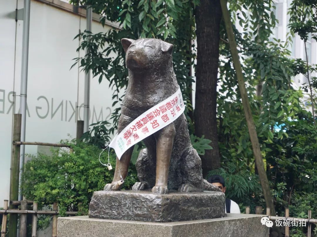 攻略川崎旅游日本视频_日本川崎有什么可玩的_日本川崎旅游攻略