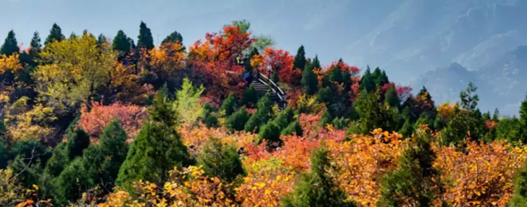 北京红螺寺旅游攻略_北京旅游景点红螺寺_北京红螺寺是干什么的