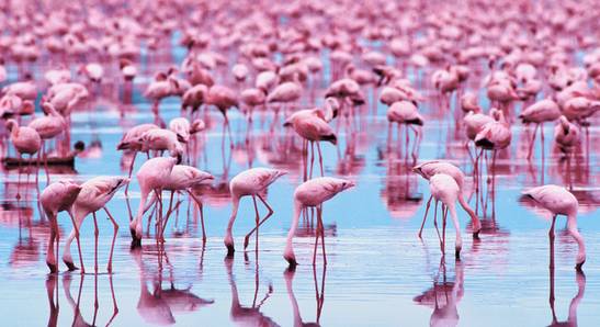 塞浦路斯攻略自助游攻略_塞浦路斯旅游攻略_塞浦路斯旅游视频