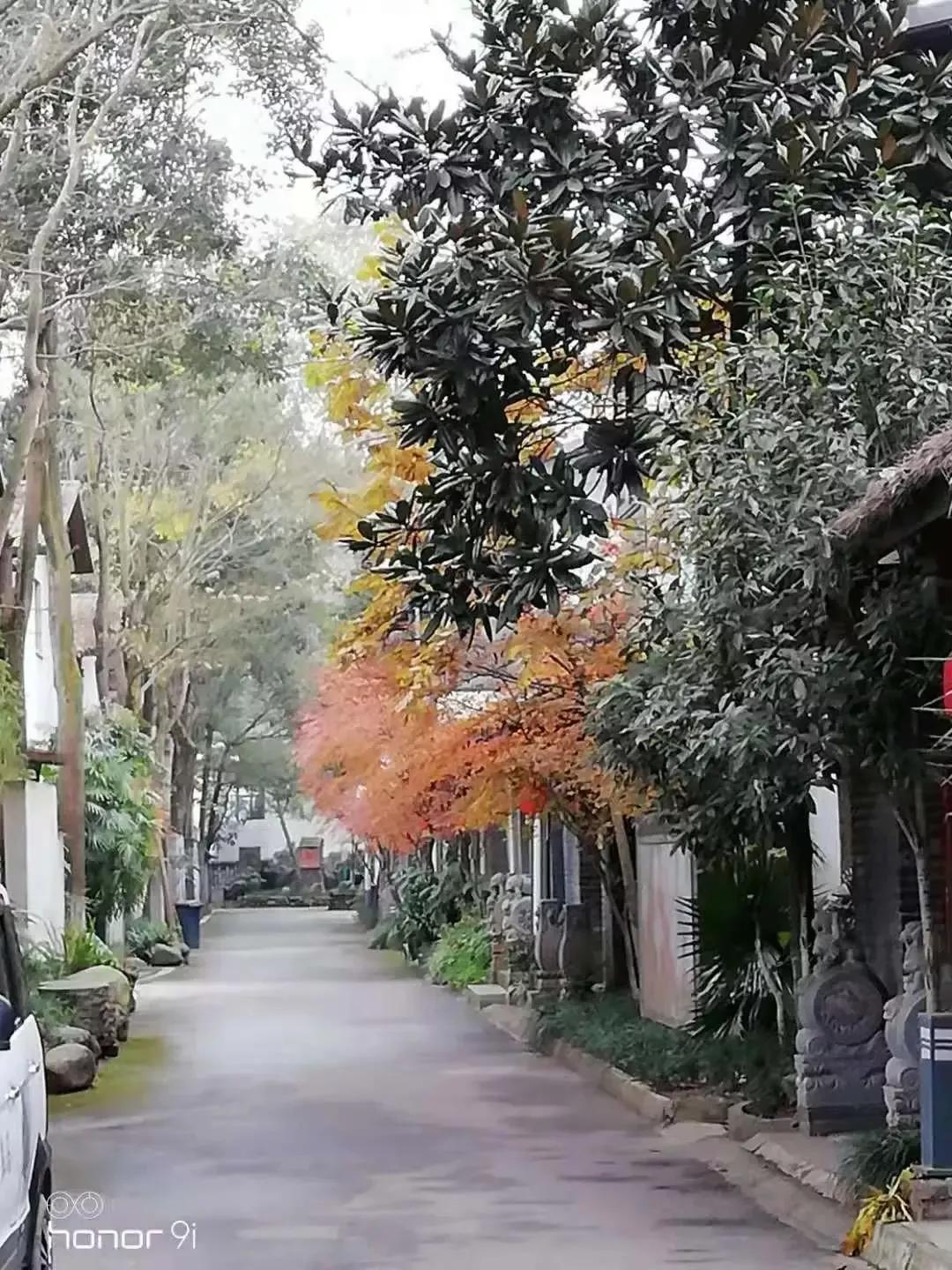 幸福公社二期吾村_幸福公社旅游攻略_三瓜公社旅游攻略