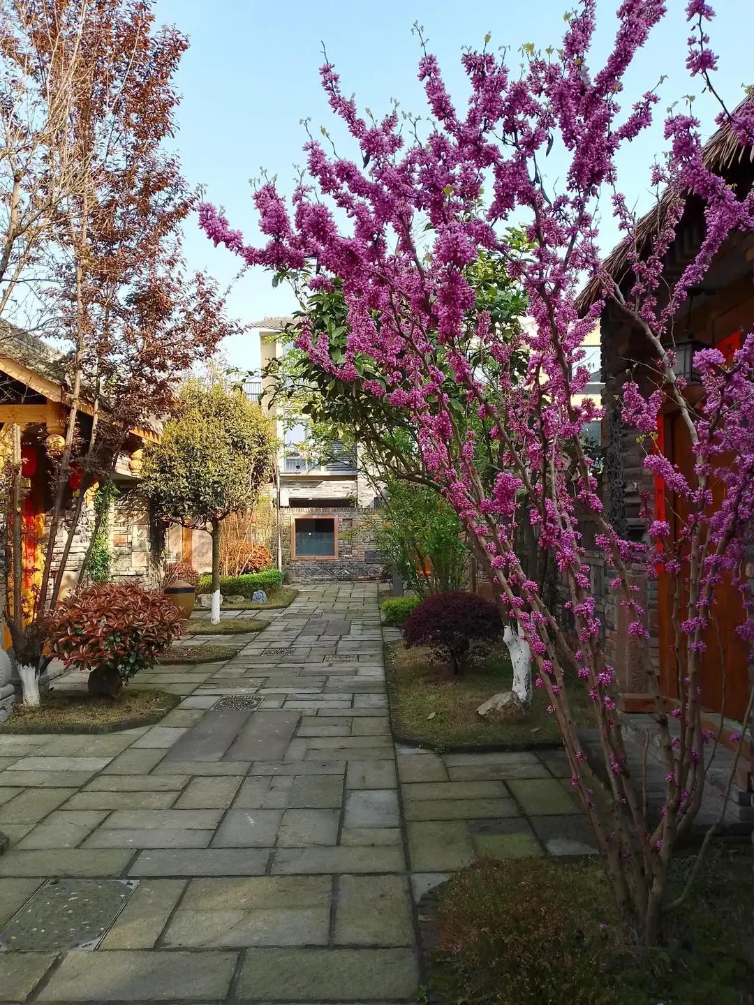 幸福公社二期吾村_幸福公社旅游攻略_三瓜公社旅游攻略