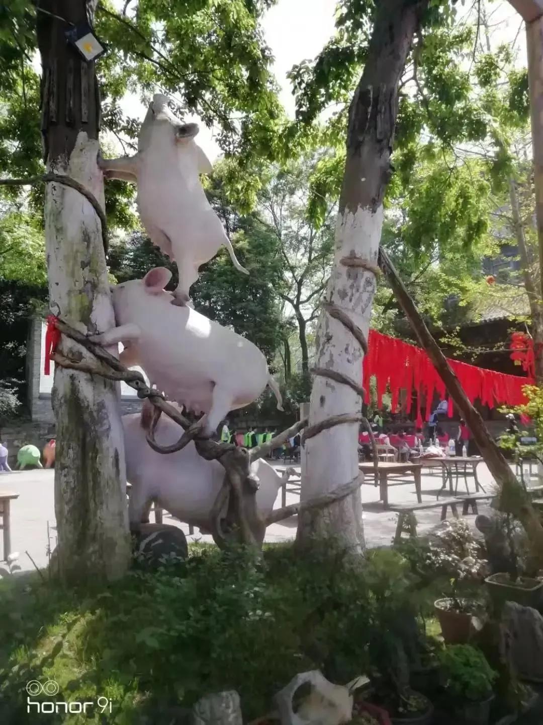 幸福公社旅游攻略_幸福公社二期吾村_三瓜公社旅游攻略