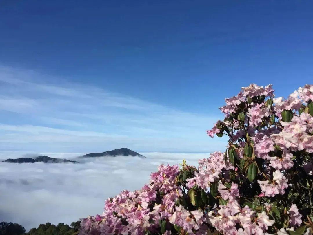 禄劝旅游_禄劝旅游项目有哪些_禄劝旅游攻略