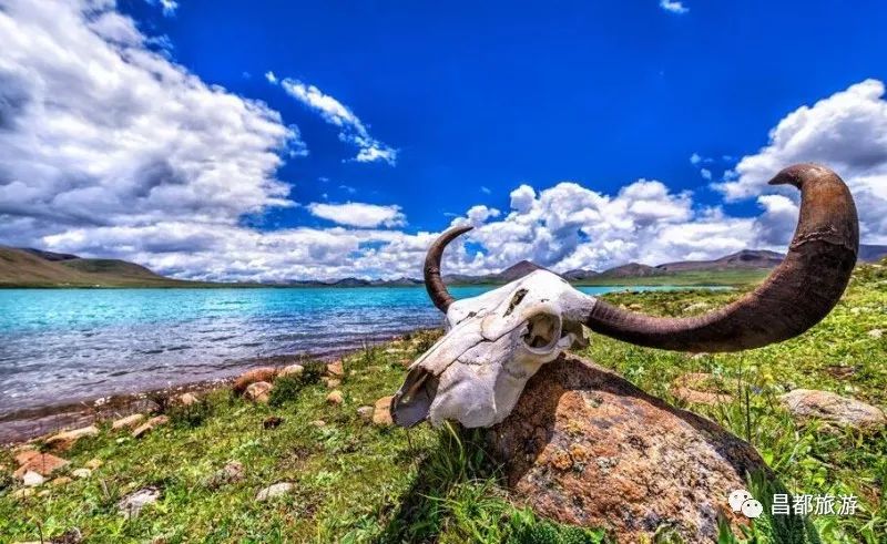 昌都游玩攻略_昌都必游景点_昌都旅游攻略