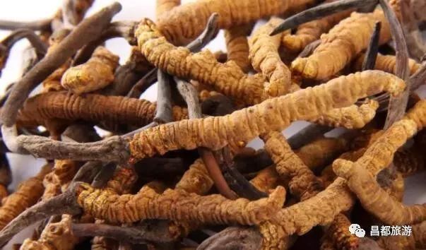 昌都旅游攻略_昌都游玩攻略_昌都必游景点