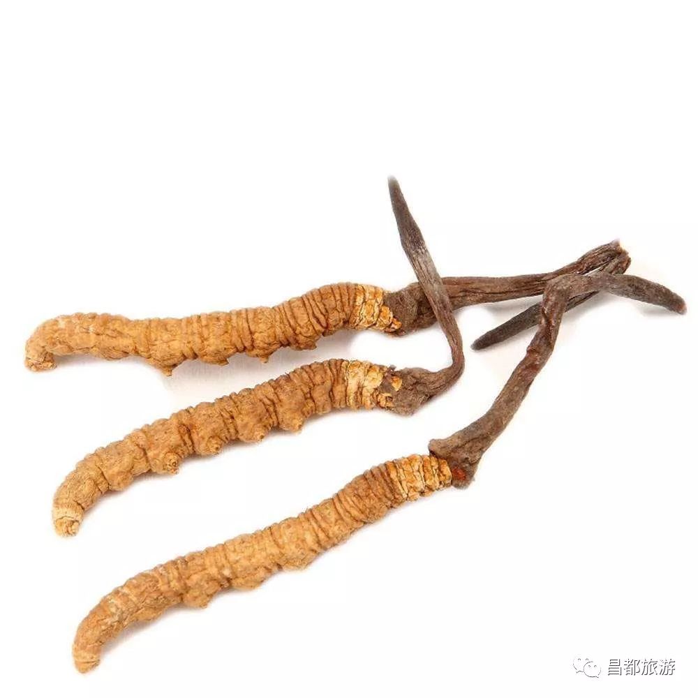 昌都旅游攻略_昌都周边旅游景点_昌都值得去吗