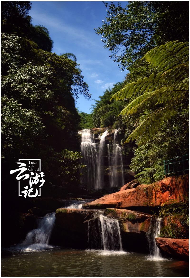 重庆到赤水旅游攻略-重庆出发赤水两日游(图19) 重庆到赤水旅游攻略_重庆自驾赤水游记及攻略_重庆出发赤水两日游