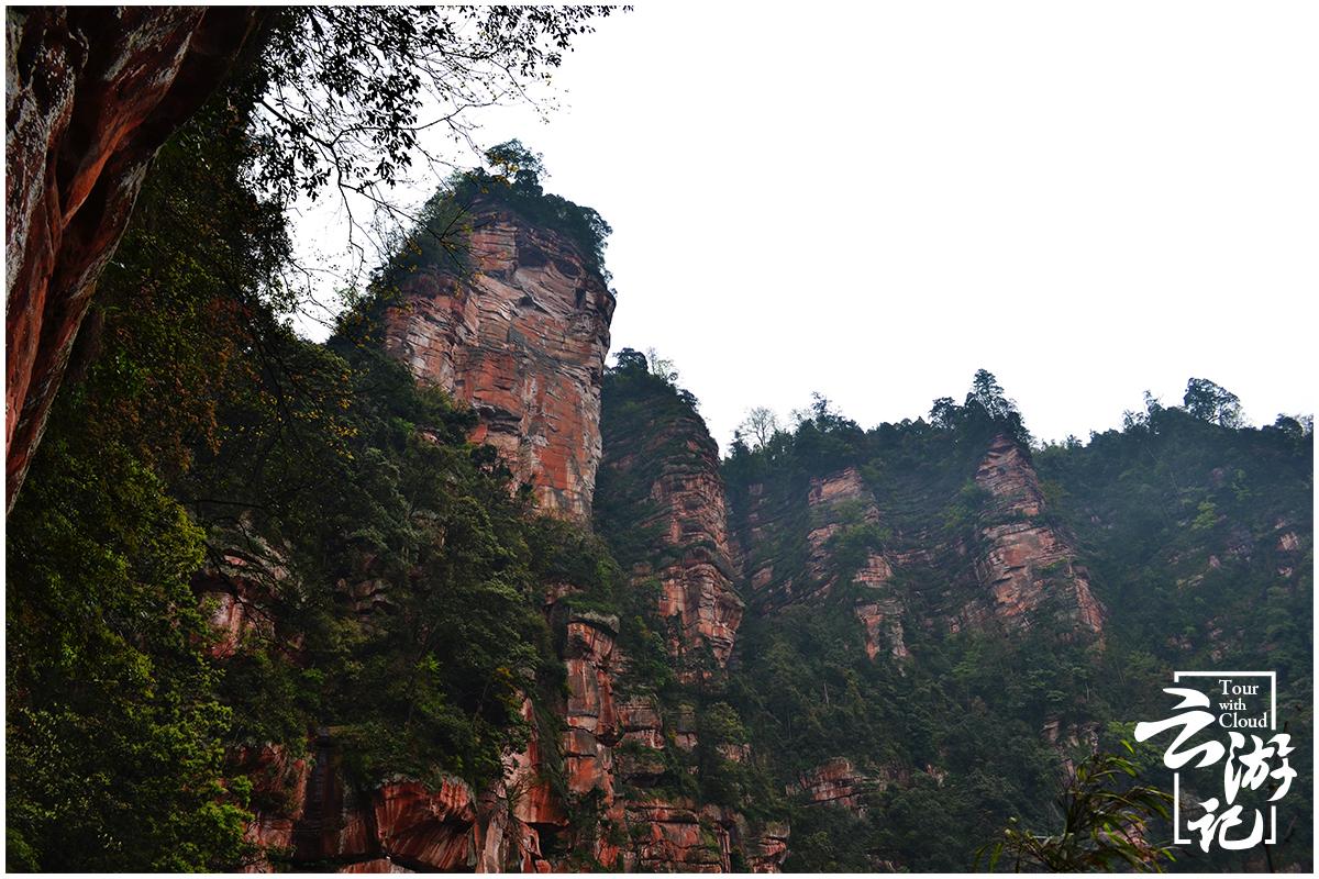 重庆到赤水旅游攻略-重庆出发赤水两日游(图9) 重庆出发赤水两日游_重庆到赤水旅游攻略_重庆自驾赤水游记及攻略