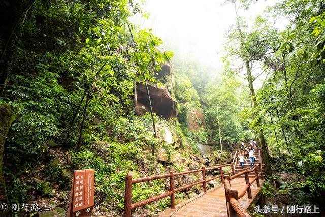 重庆到赤水旅游攻略_重庆出发赤水两日游_重庆自驾赤水游记及攻略