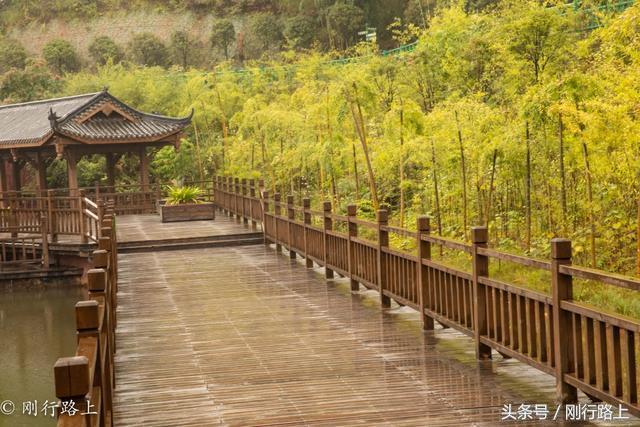 重庆自驾赤水游记及攻略_重庆出发赤水两日游_重庆到赤水旅游攻略
