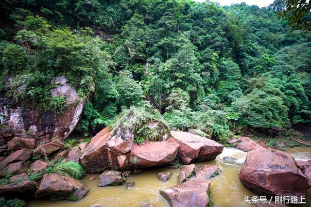 重庆出发赤水两日游_重庆到赤水旅游攻略_重庆自驾赤水游记及攻略
