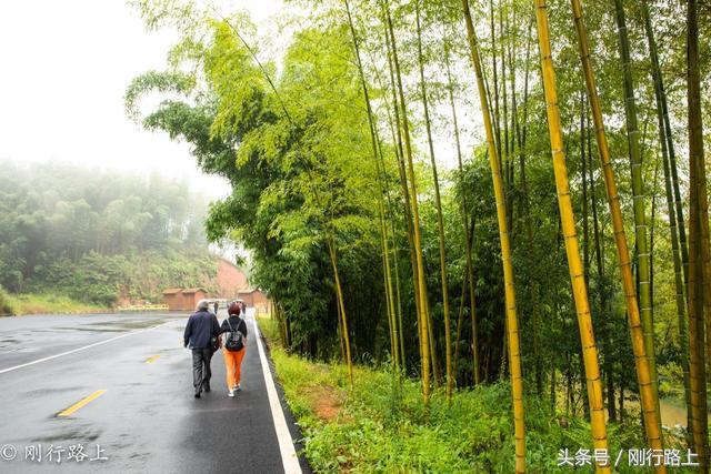 重庆到赤水旅游攻略_重庆自驾赤水游记及攻略_重庆出发赤水两日游