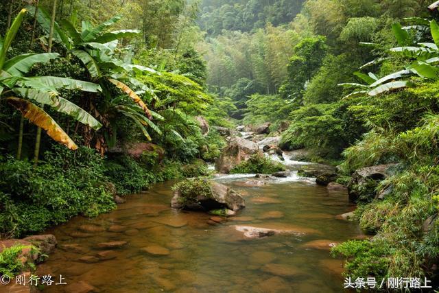 重庆到赤水旅游攻略_重庆出发赤水两日游_重庆自驾赤水游记及攻略