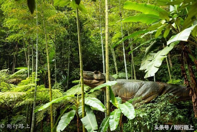 重庆出发赤水两日游_重庆自驾赤水游记及攻略_重庆到赤水旅游攻略