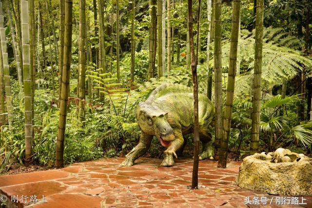 重庆到赤水旅游攻略_重庆出发赤水两日游_重庆自驾赤水游记及攻略