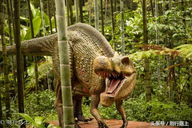 重庆到赤水旅游攻略_重庆自驾赤水游记及攻略_重庆出发赤水两日游