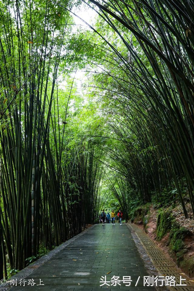 重庆到赤水旅游攻略_重庆自驾赤水游记及攻略_重庆出发赤水两日游