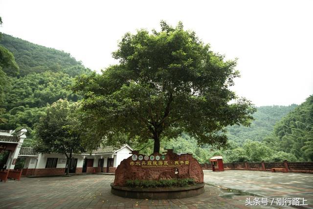 重庆到赤水旅游攻略_重庆自驾赤水游记及攻略_重庆出发赤水两日游