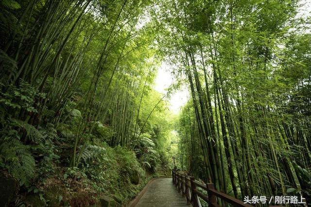 重庆到赤水旅游攻略_重庆自驾赤水游记及攻略_重庆出发赤水两日游