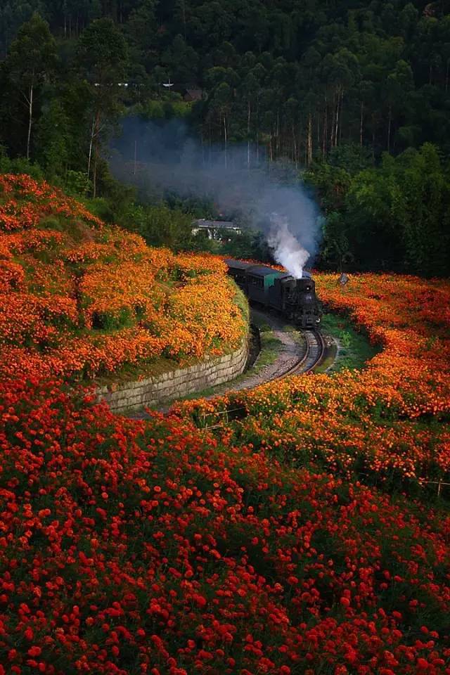 峨眉山到夹江怎么坐车_从夹江到峨眉山玩旅游攻略_峨眉山到夹江小车电话