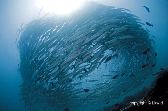 马来西亚沙巴州斗湖_马来西亚湖泊_马来西亚斗湖旅游攻略