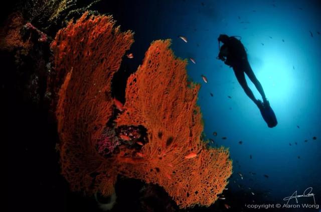 马来西亚湖泊_马来西亚斗湖旅游攻略_马来西亚沙巴州斗湖