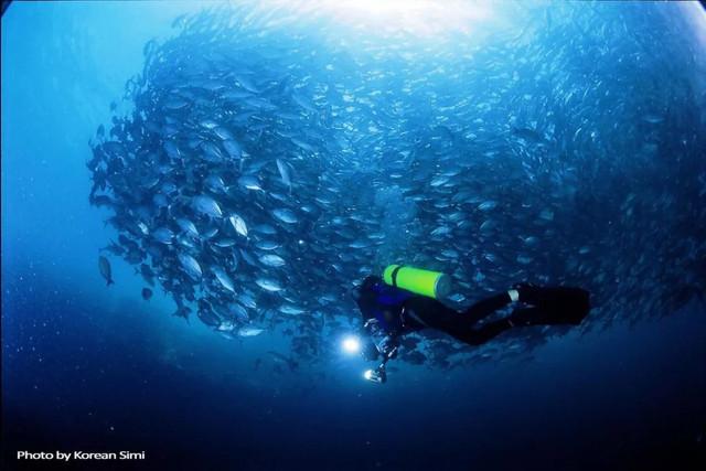 马来西亚沙巴州斗湖_马来西亚斗湖旅游攻略_马来西亚湖泊