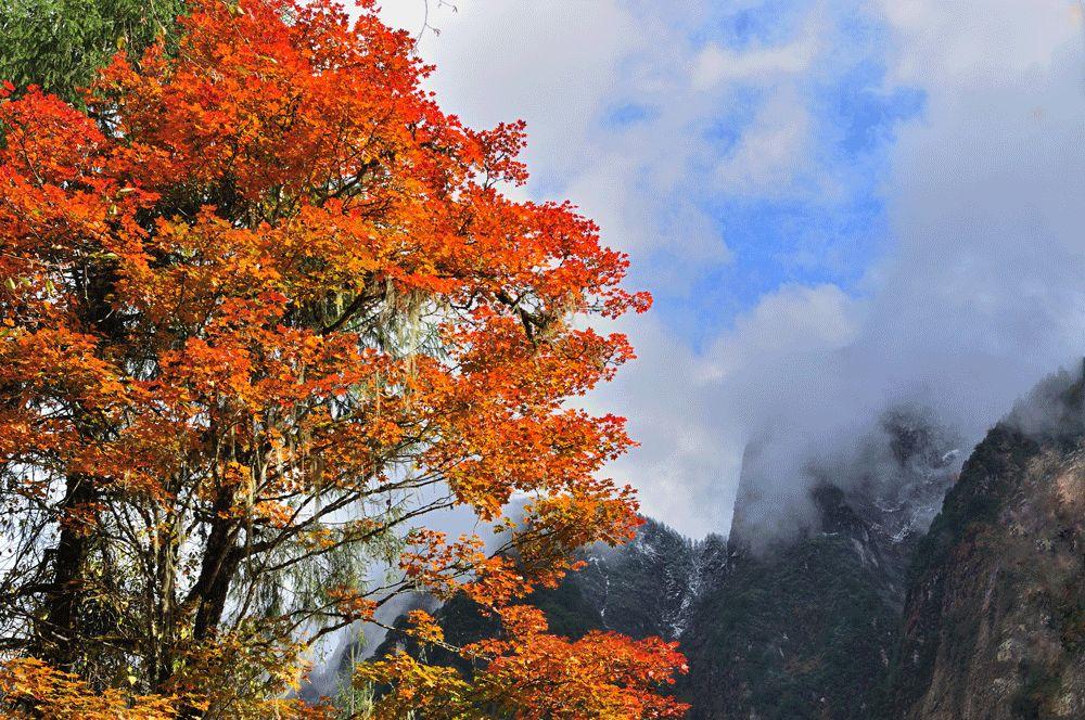 康定海螺沟旅游攻略_康定海螺沟门票多少钱_康定海螺沟旅游景点攻略