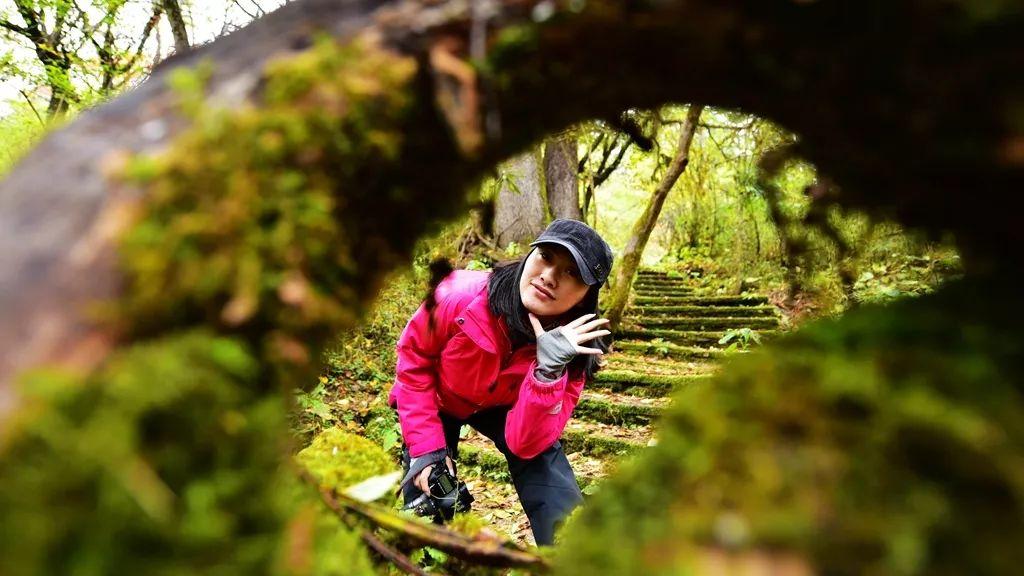 康定海螺沟门票多少钱_康定海螺沟旅游景点攻略_康定海螺沟旅游攻略