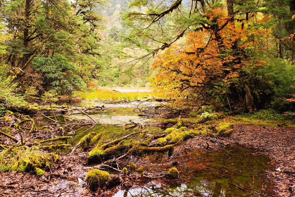 康定海螺沟旅游景点攻略_康定海螺沟门票多少钱_康定海螺沟旅游攻略