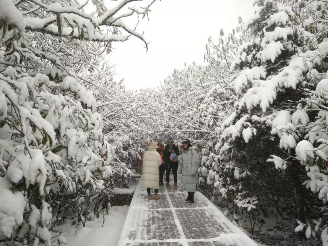 康定海螺沟旅游景点攻略_康定海螺沟旅游攻略_康定海螺沟门票多少钱