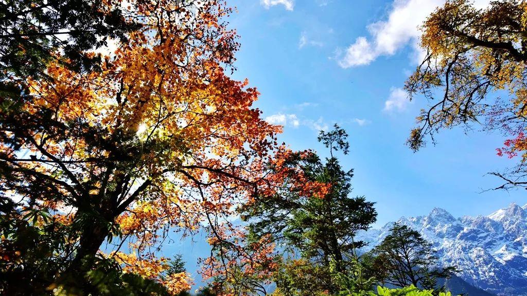 康定海螺沟门票多少钱_康定海螺沟旅游景点攻略_康定海螺沟旅游攻略