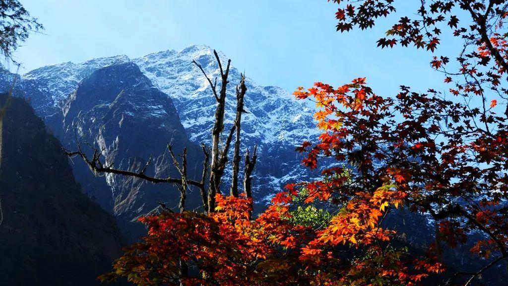 康定海螺沟旅游攻略_康定海螺沟门票多少钱_康定海螺沟旅游景点攻略