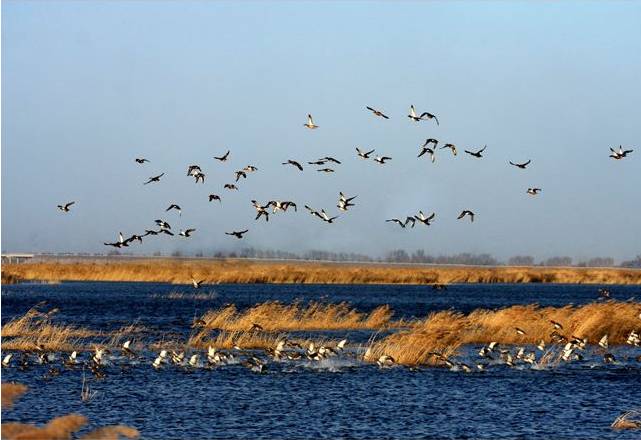 镜泊湖游湖有意思吗_镜泊湖游湖多长时间_镜泊湖旅游攻略