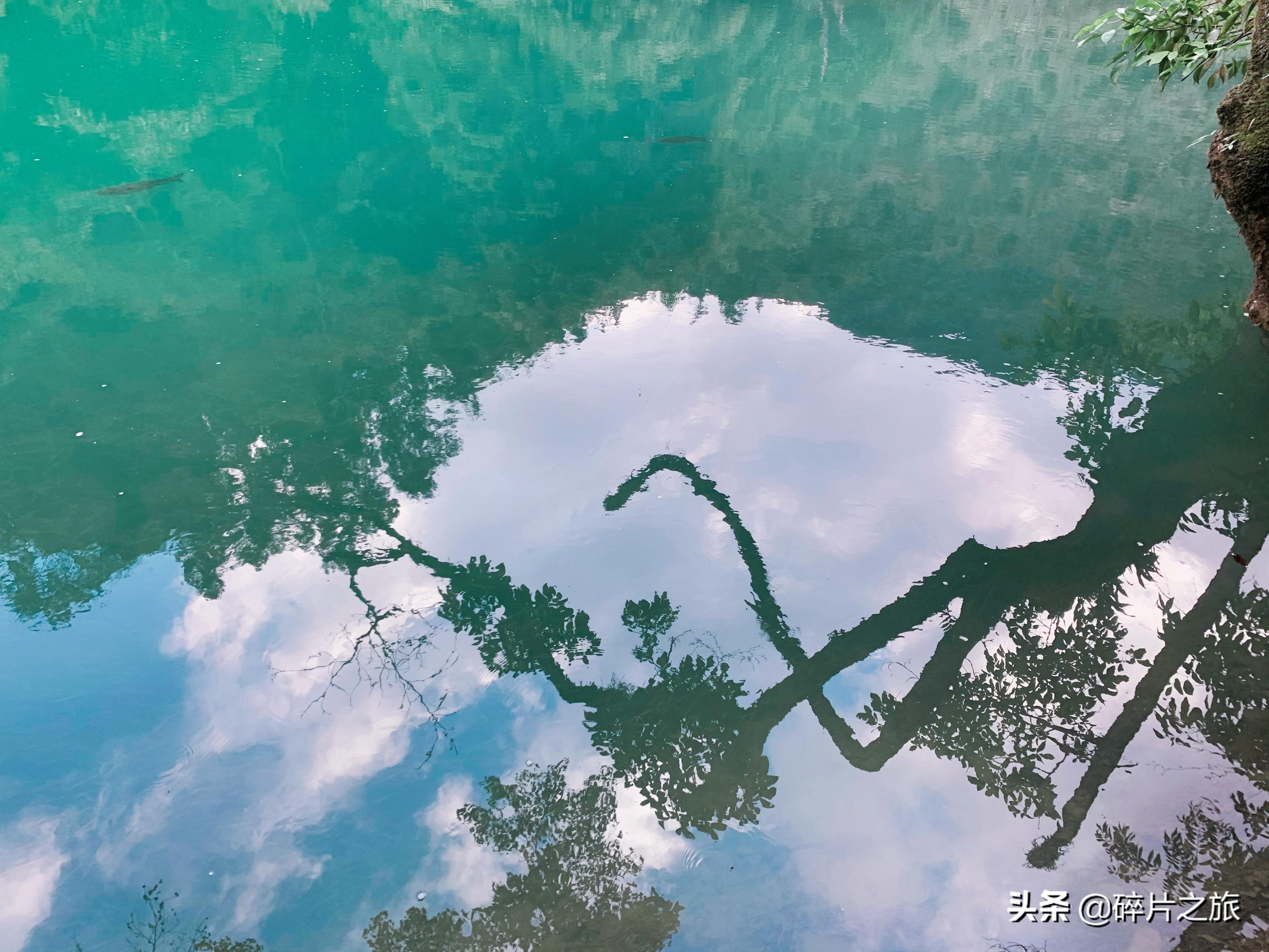 黔东南旅行攻略_黔东南旅游攻略_黔东南旅游攻略自由行