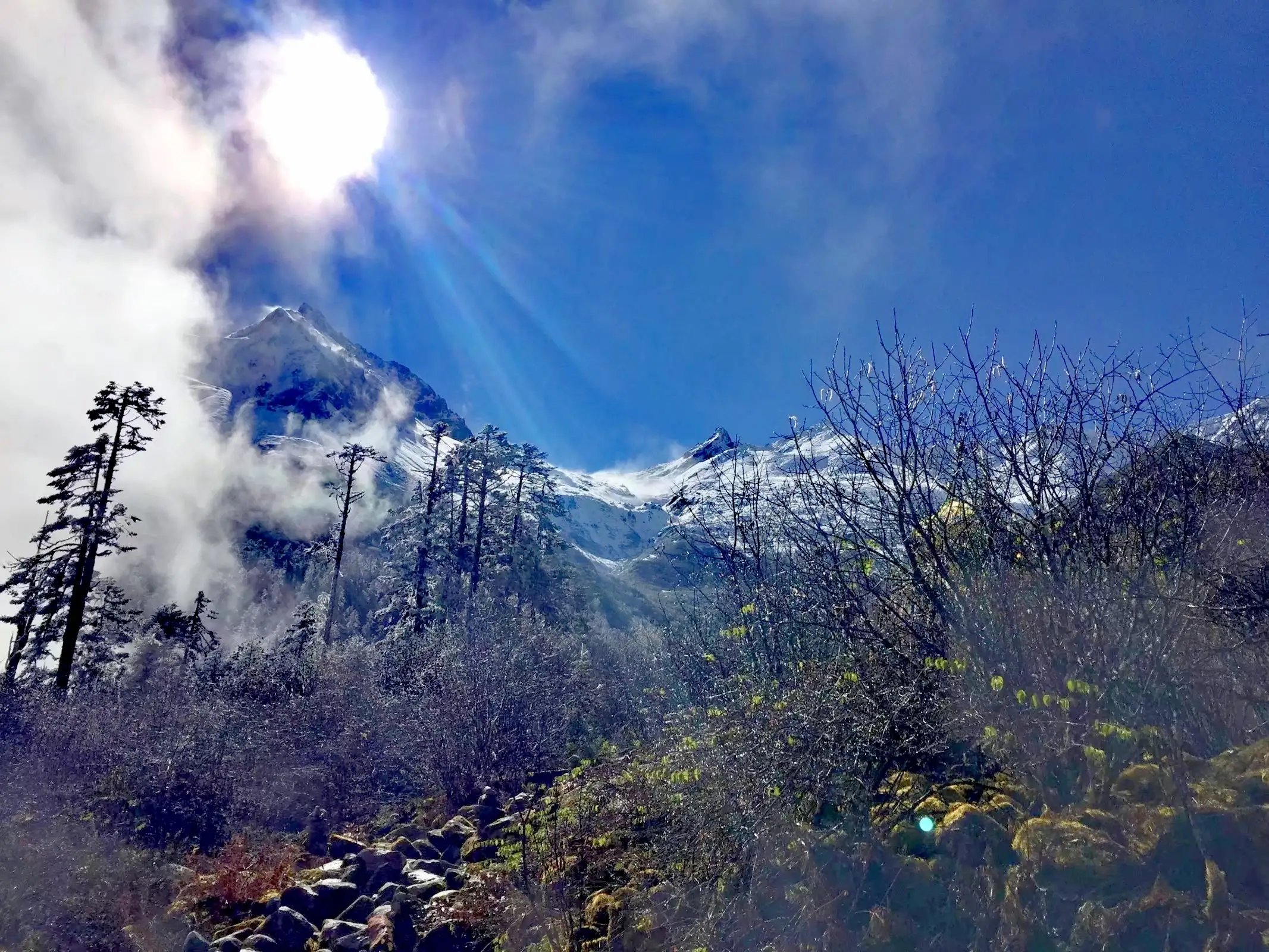 康定海螺沟旅游攻略-康定海螺沟门票多少钱(图16) 康定海螺沟旅游攻略_康定海螺沟门票多少钱_康定海螺沟旅游自驾游攻略