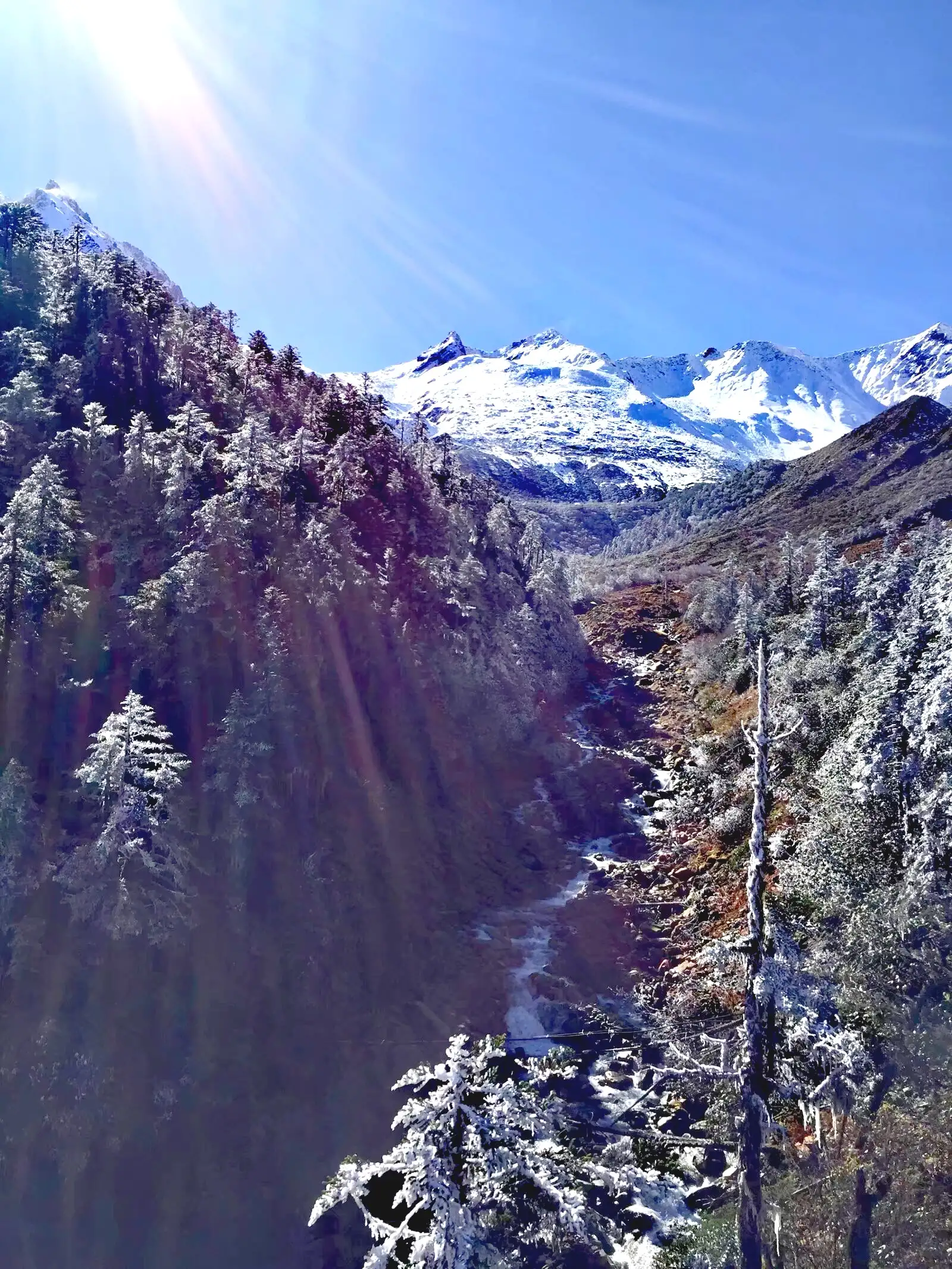 康定海螺沟旅游攻略-康定海螺沟门票多少钱(图6) 康定海螺沟旅游攻略_康定海螺沟旅游自驾游攻略_康定海螺沟门票多少钱